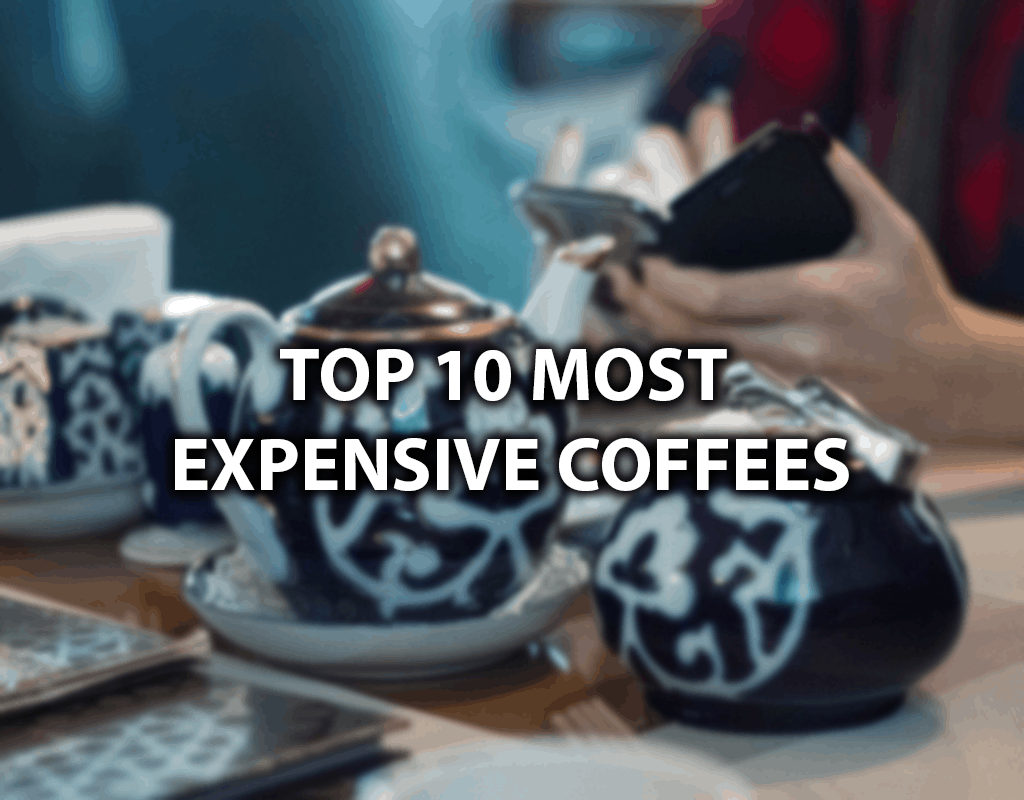 最昂贵的咖啡
