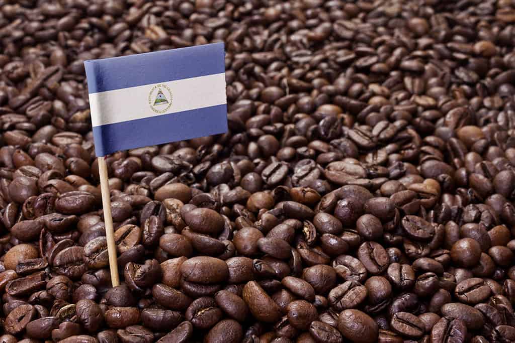 尼加拉瓜咖啡品牌bob博地址