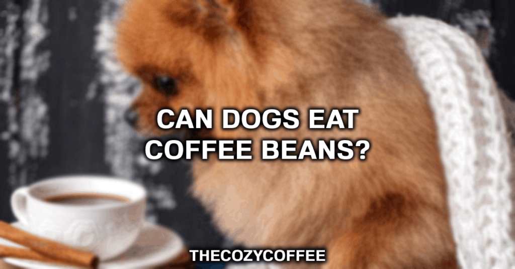 狗可以喝咖啡吗?bob博地址
