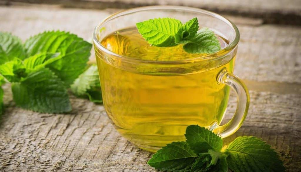 薄荷茶是一种很受欢迎的花草茶，天然不含卡路里和咖啡因。